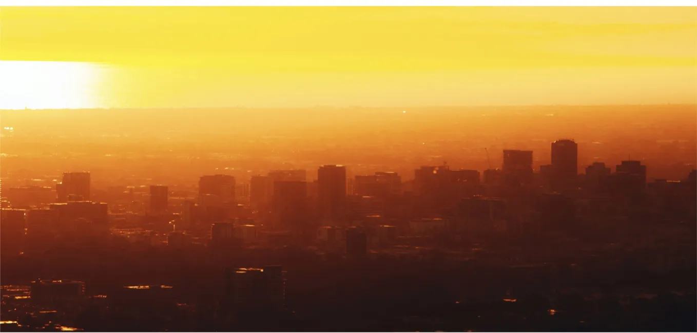 Adelaide’s Tech Ecosystem By the Numbers